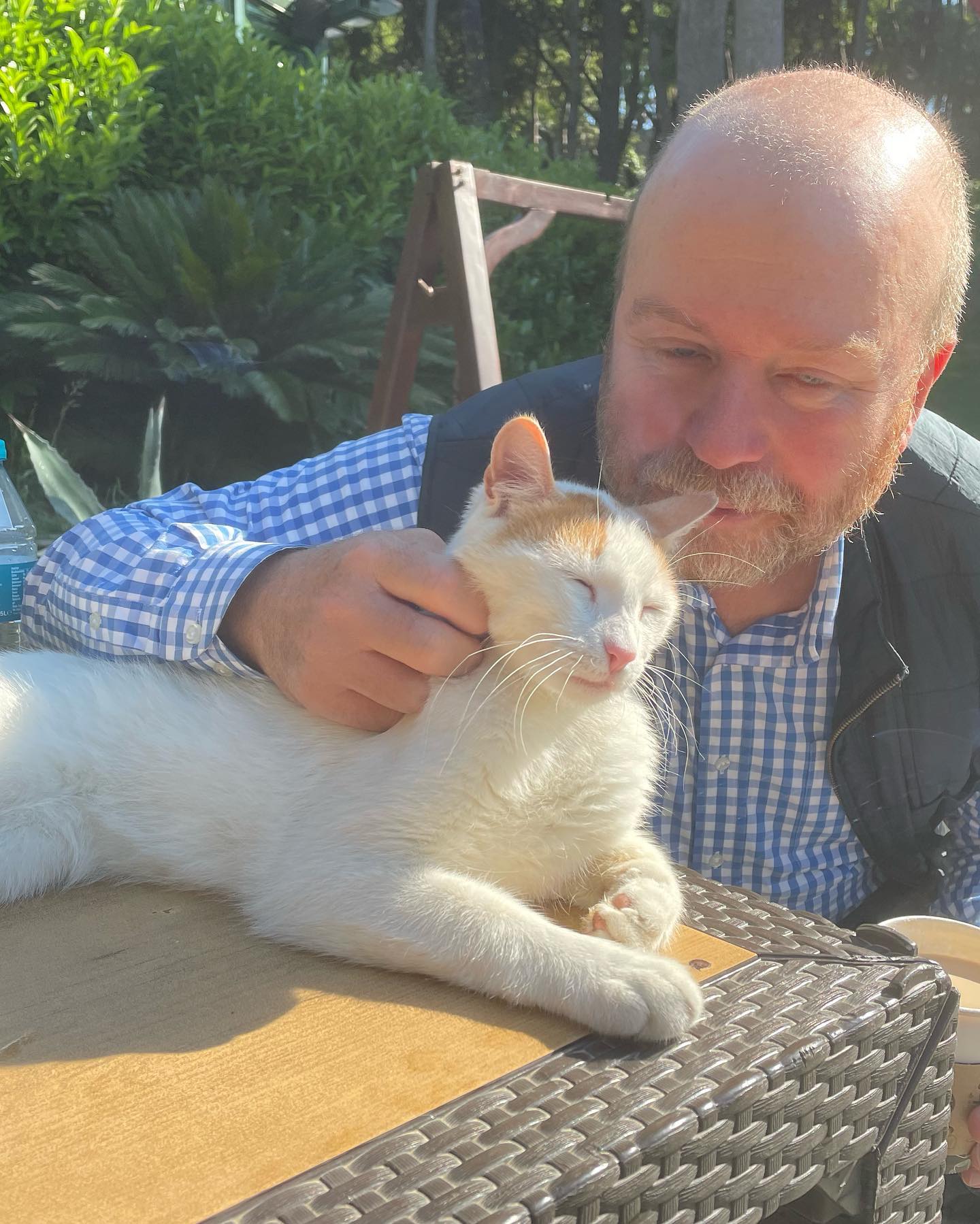 Kenan Tamer - Portfolio Image 1